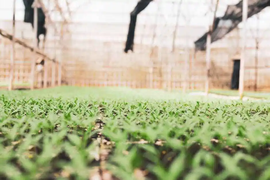 Streamlining Lead Nurturing with Automation Tools