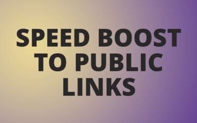 Advanced Caching and Compression Algorithms for Superior Public Link Performance